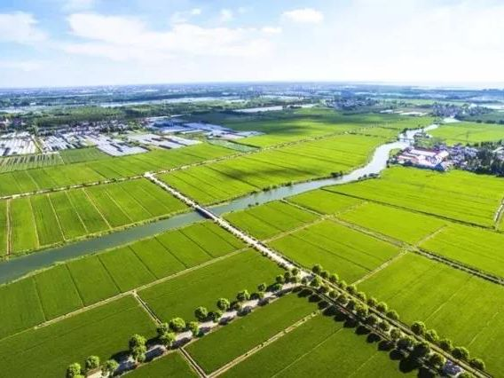 中国·388vip太阳集团(Macau)有限公司-官方网站